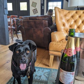 Stone Tower Winery - Dog friendly tasting room - Wineries Near Me - Leesburg, Virginia Stone Tower Winery - Dog friendly tasting room - Wineries Near Me - Leesburg, Virginia