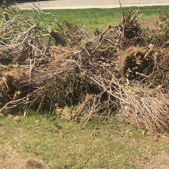 Jesse’s landscaping - Pile of bushes - Landscaping Near Me Jesse’s landscaping - Pile of bushes - Landscaping Near Me