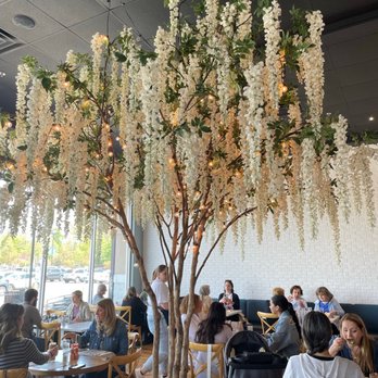 Willow & Whisk - Breakfast & Brunch Near Me - Wyckoff, New Jersey Willow & Whisk - Breakfast & Brunch Near Me - Wyckoff, New Jersey