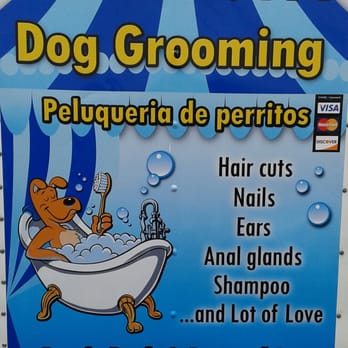 Dog's Bath & Beyond Inc - Dog's bath & beyond lnc. VISA, MASTERCARD, DISCOVERY, CASH accepted. - Pet Groomers Near Me Dog's Bath & Beyond Inc - Dog's bath & beyond lnc. VISA, MASTERCARD, DISCOVERY, CASH accepted. - Pet Groomers Near Me