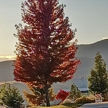 Truckee Meadows Community College - Pretty campus! - Community Service/Non-Profit Near Me - Reno, Nevada Truckee Meadows Community College - Pretty campus! - Community Service/Non-Profit Near Me - Reno, Nevada