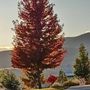 Photo of Truckee Meadows Community College