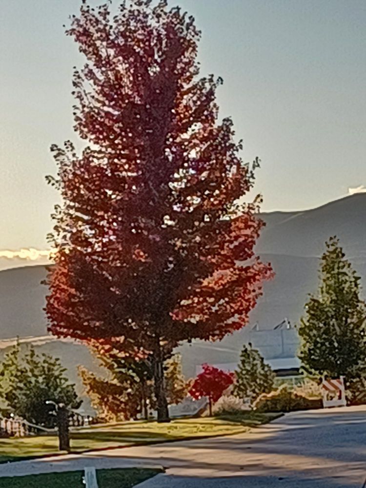 Truckee Meadows Community College - social services organization in Reno, NV