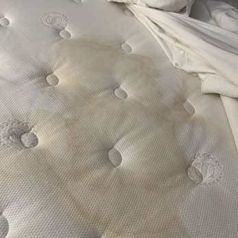 Sheraton Baltimore North Hotel - Stained Mattress - Hotels Near Me - Towson, Maryland Sheraton Baltimore North Hotel - Stained Mattress - Hotels Near Me - Towson, Maryland