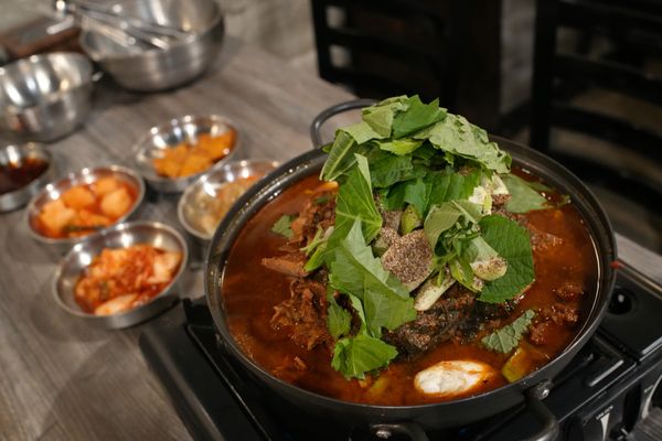 Tang Tang Tang by null