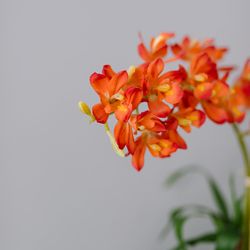 Restorative Touch Chiropractic