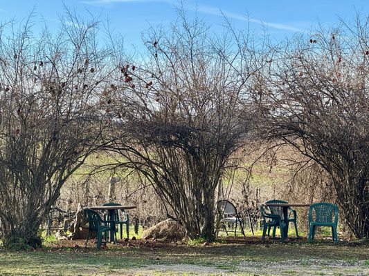 Principe di Tricase Winery by null