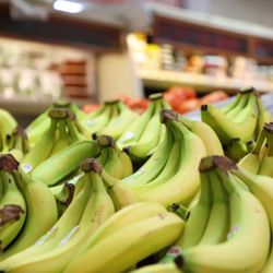 Kissimmee Produce - Kissimmee Produce