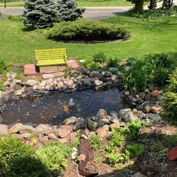 9th Street Wellness Center EAST - Our pond with goldfish