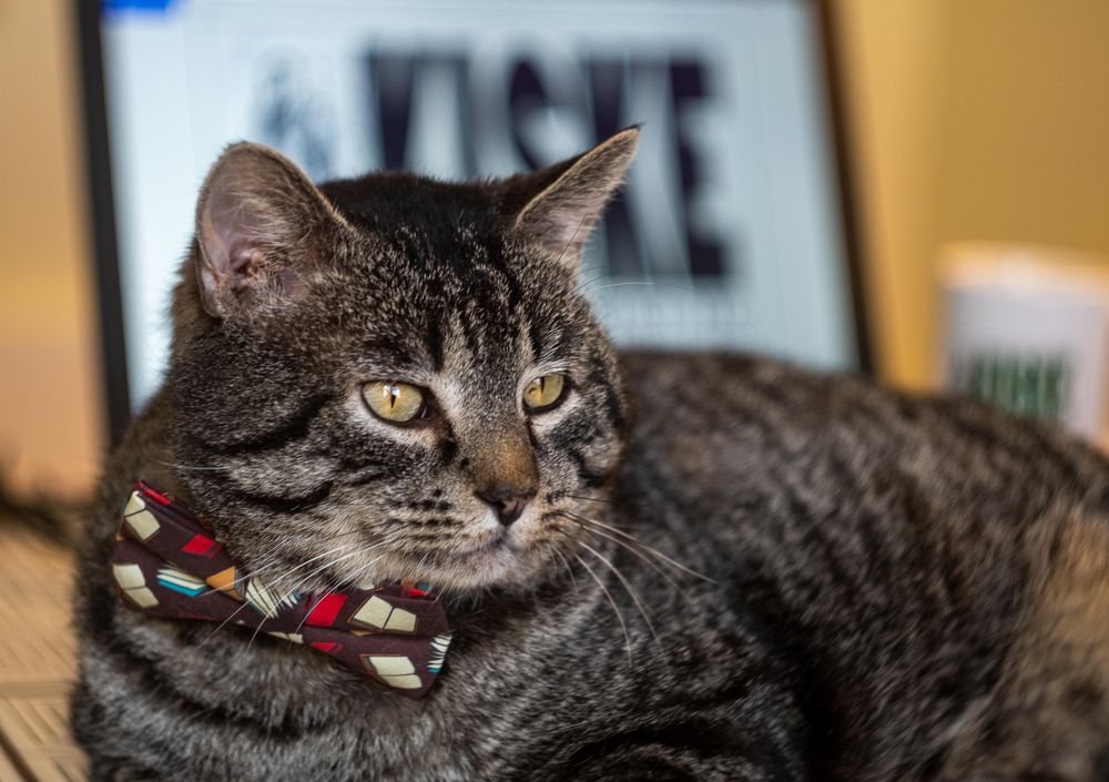 Kiske Law Office - divorce attorney in Kansas City, MO