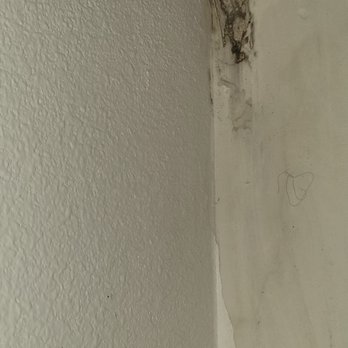 Eleve Lofts and Skydeck Apartments - Apt 412 mold from leak that "wasn't" mold according to apartment management - Apartments Near Me - Glendale, California Eleve Lofts and Skydeck Apartments - Apt 412 mold from leak that "wasn't" mold according to apartment management - Apartments Near Me - Glendale, California