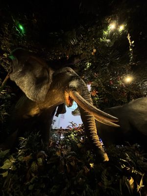 Rainforest Cafe by null