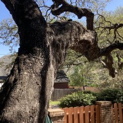 Heritage Tree Care