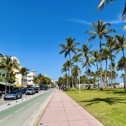 Lummus Park on South Beach - Lummus Park [South Beach]_Sanju-2