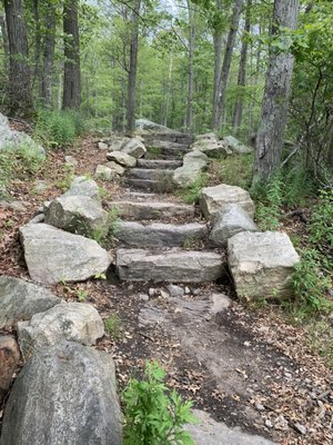 Harriman State Park by null