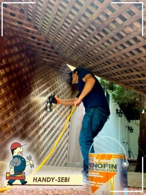 Handy Sebi Logo