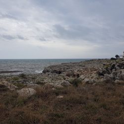 Rue De La Historic