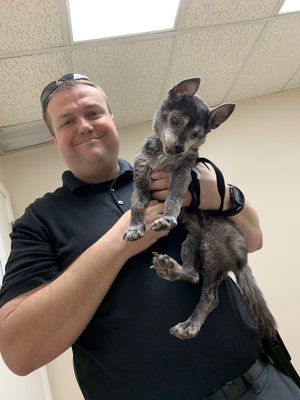 Arcadia Animal Clinic 3941 E Meadowbrook Ave Phoenix Az Animal Hospitals Mapquest