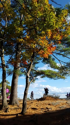 Bradbury Mountain State Park by null