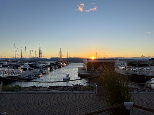 Farmers and Foragers Dockside by null