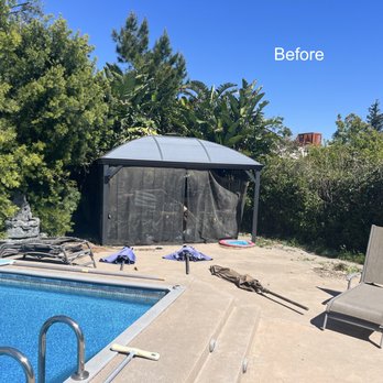 Juan's Gardening Service - Before - Tree Services Near Me