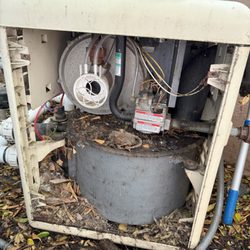 Giuliano's Pool Service & Repair - Pool heater with rat infestation, hence service light was on.