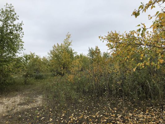 Nose Hill Park by null