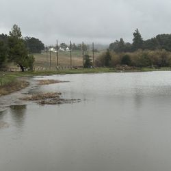 YMCA Raintree Ranch - Camp Martin Hike/Lake