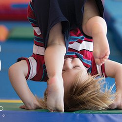 The Little Gym gift card