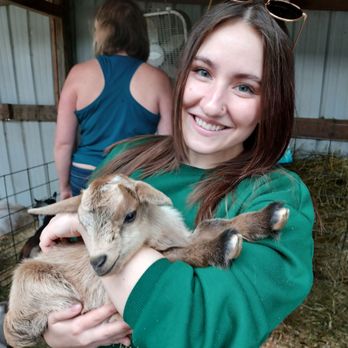 Oak Hollow Acres - Baby goat therapy - Animal Assisted Therapy Near Me - Burlington, Wisconsin Oak Hollow Acres - Baby goat therapy - Animal Assisted Therapy Near Me - Burlington, Wisconsin