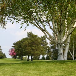 Centerpointe Country Club