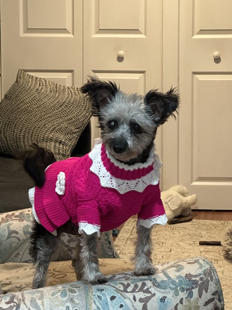 REMEMBER ME RESCUE NY 20 Photos & 24 Reviews Long Island, New York