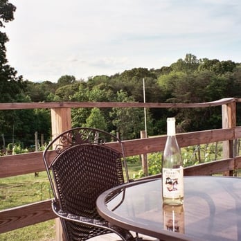 Rebec Vineyards - Rebec Vineyards:  Grapevines very close to deck! - Wineries Near Me - Amherst, Virginia