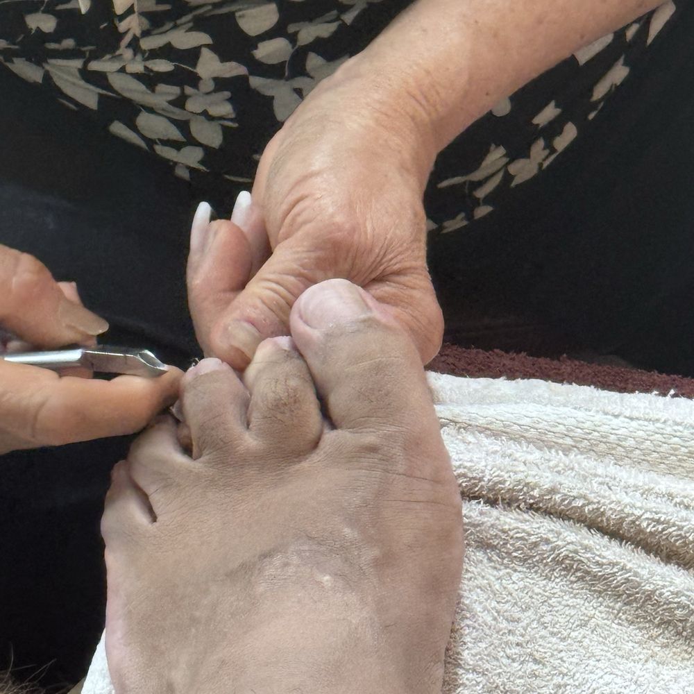 Nails By Amy - The dogs are getting a cleaning! - Nail Salons Near Me - Escondido, California Nails By Amy - The dogs are getting a cleaning! - Nail Salons Near Me - Escondido, California