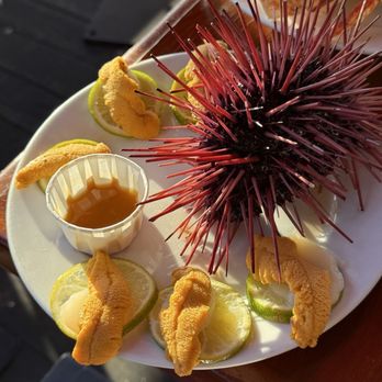 Santa Barbara Shellfish Company - Uni (6 pieces of world famous uni served atop raw scallop and lime wheel)--delish! - Seafood Near Me - Santa Barbara, California Santa Barbara Shellfish Company - Uni (6 pieces of world famous uni served atop raw scallop and lime wheel)--delish! - Seafood Near Me - Santa Barbara, California