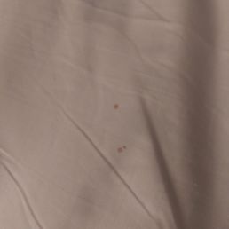 Blood drop stains