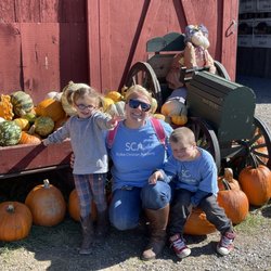 Wayside Farm Fun