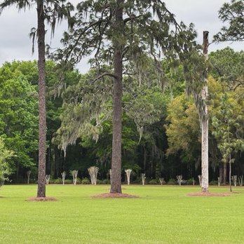 Sholom Park - Open area - Parks Near Me - Ocala, Florida