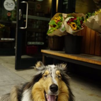 Cone & Steiner - Grocery Near Me - Seattle, Washington