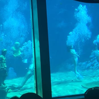 Weeki Wachee Springs - Amusement Parks Near Me - Spring Hill, Florida