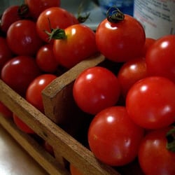 Dibella's Farm Market - The tomatoes are really really fresh!