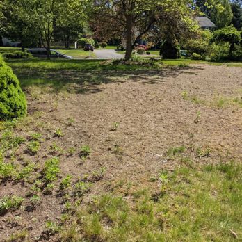 Hydroseeding By Norman - Before (front lawn) - Lawn Services Near Me