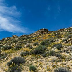 Short Canyon