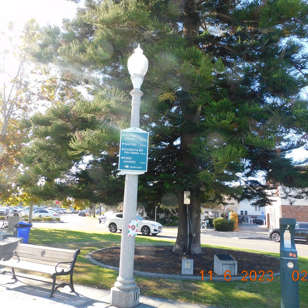 Coronado Island - The many trees have signs to them and the many are dedicated to the many of the Island and the special names. - Local Flavor Near Me