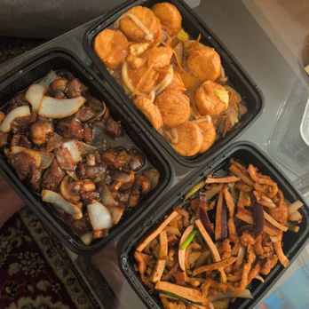 China Rose - Mushroom and Bean curd Wrap with Egg tofu.  Tender Beef Cubes with Onion in Wine Sauce. Shredded Pork with Dry Bean curd. - Chinese Near Me - Milpitas, California