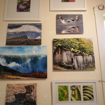 1. Coast Highway Artists Collective