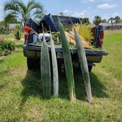Zackary Summers Tree Care - These seed pods get pretty heavy...