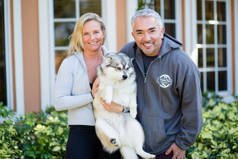 SITTIN’ PRETTY MOBILE DOG GROOMING Updated September 2024 18 Photos