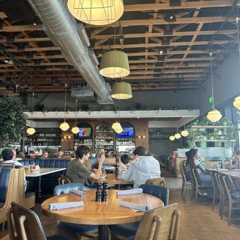 Doughbird - Comfort Food Near Me - Tucson, Arizona