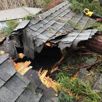 Firefighter Tree Service - Tree Services Near Me - Redwood City, California Firefighter Tree Service - Tree Services Near Me - Redwood City, California